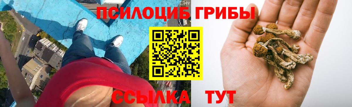 Галлюциногенные грибы прущие грибы Мирный